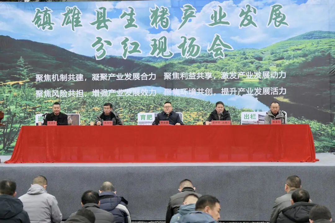 云南镇雄县生猪产业发展成果显著，现场分红440万余元！