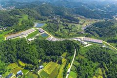 铁骑力士：构建四川生猪产业链，闯出川猪振“芯”路