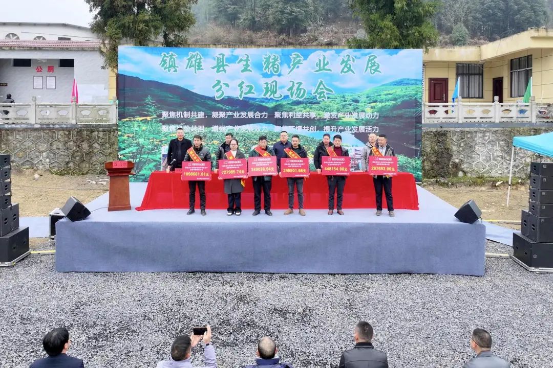 云南省镇雄县生猪产业发展分红现场会