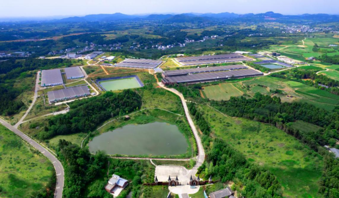 铁骑力士枫叶牧场繁育中心