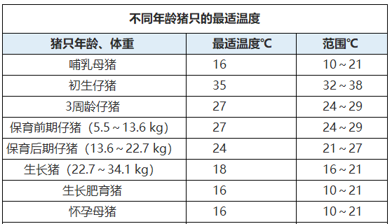 不同年龄猪只适宜的温度