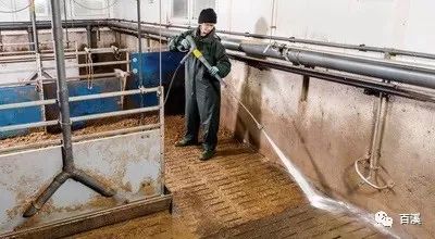 猪舍清洁