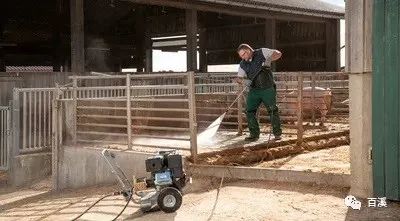 猪舍清洁