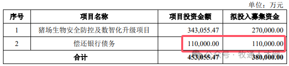 临近年终，各养猪巨头依旧奋斗不止，在困境中找“出路”，部分猪企传来的新动态不免令人振奋。
