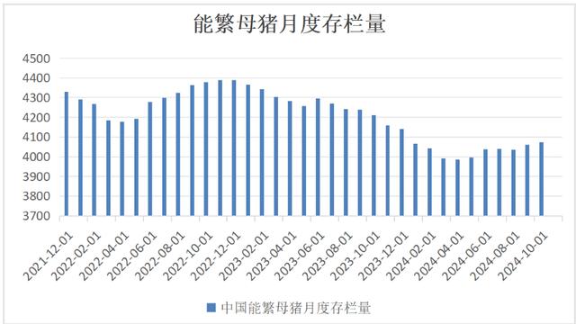 母猪存栏