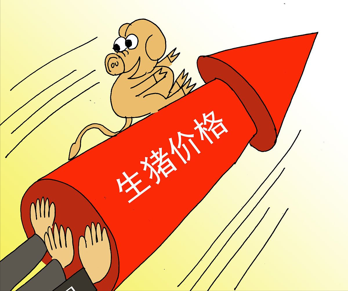 12月25日猪价：全面反攻！南北猪价一片红，猪价迎来年末翘尾行情