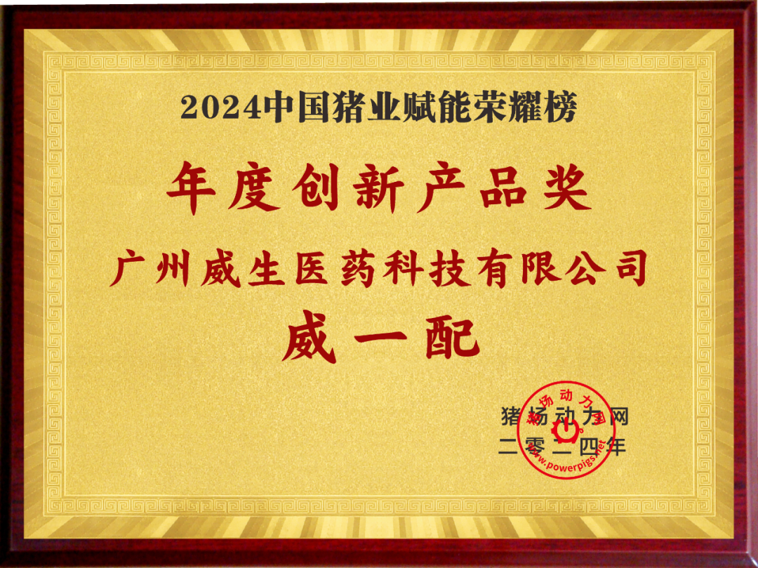 2024行业荣誉