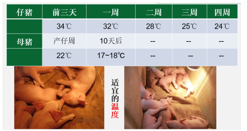 产房和保温箱温度变化值