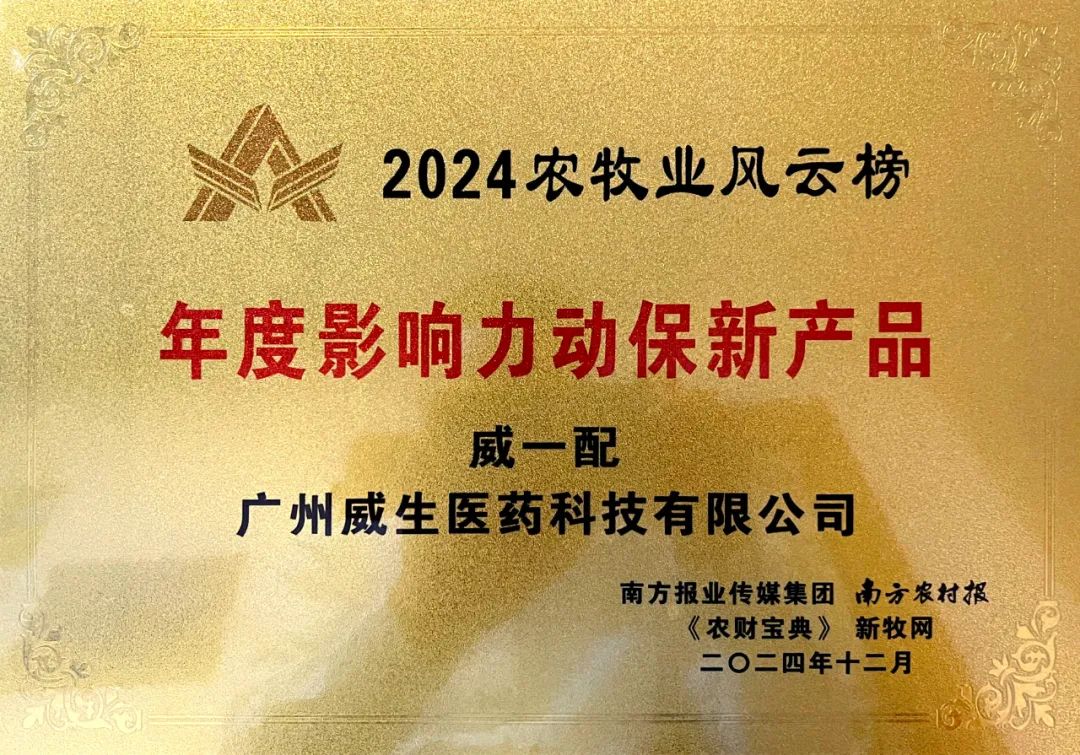 2024行业荣誉