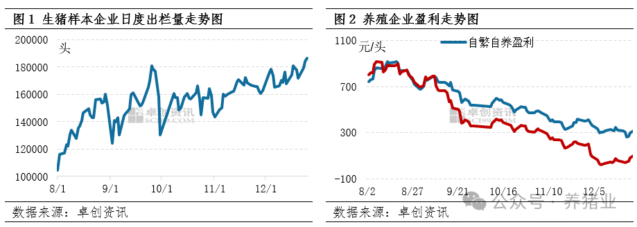 春节临近生猪屠宰增量，1月猪价或保持震荡态势！
