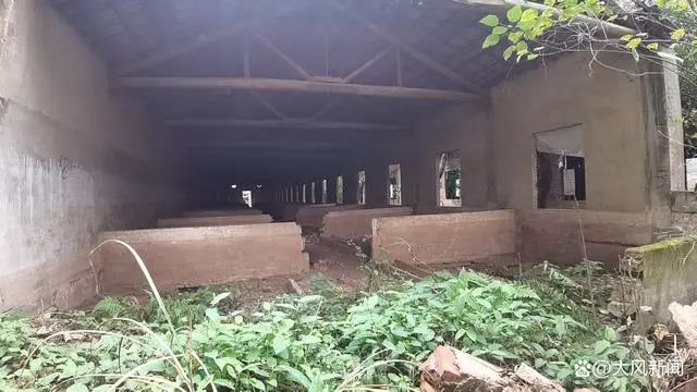 猪舍