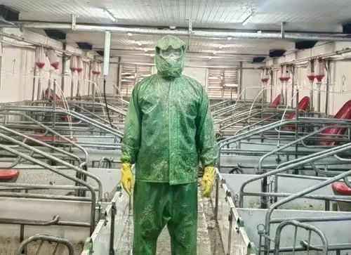 互联网大厂精英挥别职场，转身投身养猪大业，90后“猪二代”如何掀起行业新浪潮？