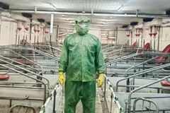 互联网大厂精英挥别职场，转身投身养猪大业，90后“猪二代”如何掀起行业新浪潮？