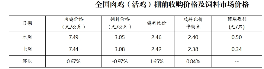 肉鸡、饲料行情