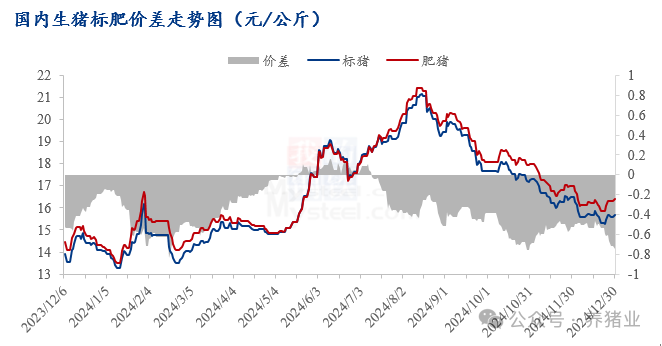 猪肉消费进入高峰，2025年1月猪价将走向何方？