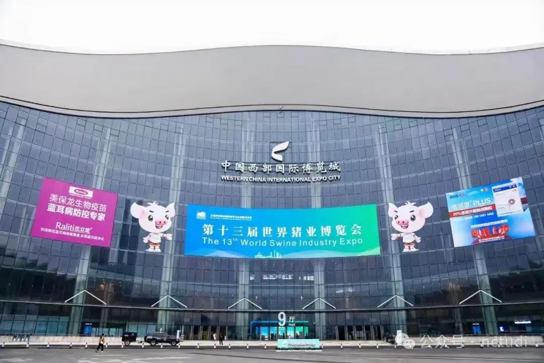 李曼养猪大会