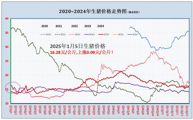 猪价再度上涨！涨势能否持续到春节前？1个坏消息
