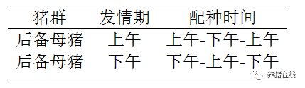 初学者应该如何给母猪配种？详细图解来了