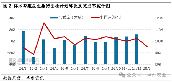 生猪出栏计划及完成率