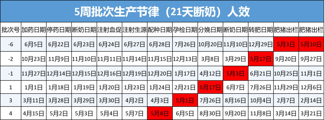 5周批批次生产节律