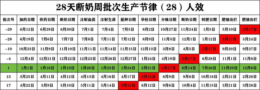 28天断奶周批次生产节律