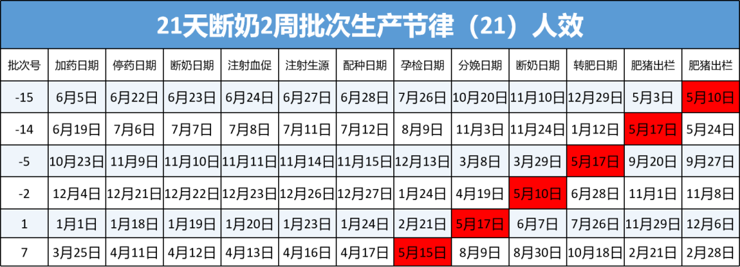 21天断奶2周批次生产节律