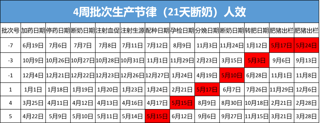 4周批批次生产节律