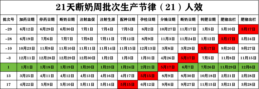 21天断奶周批次生产节律