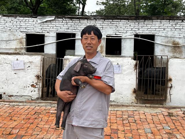 徐永红展示养殖场内的项城猪仔猪