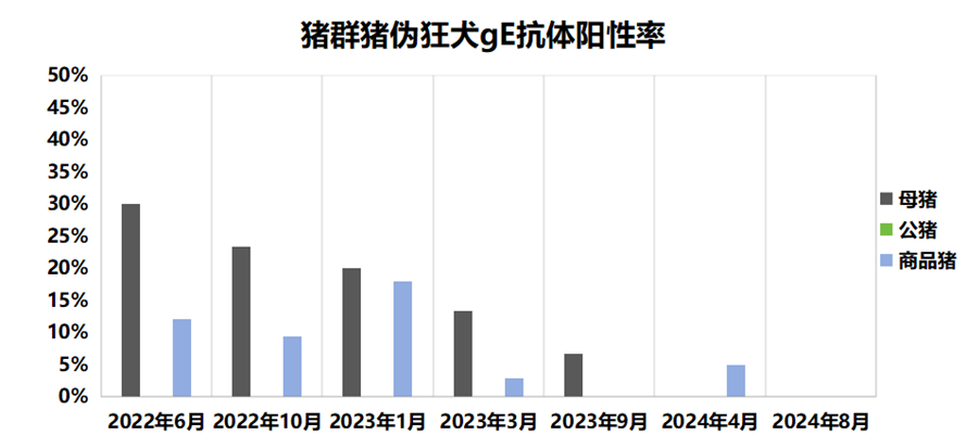 猪群伪狂犬gE抗体阳性率