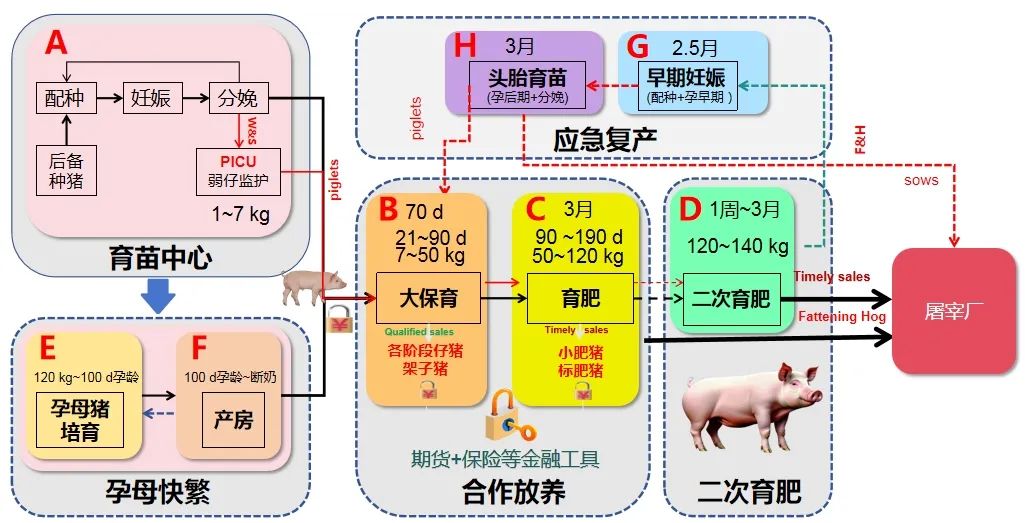 生猪产业链融合发展模型图