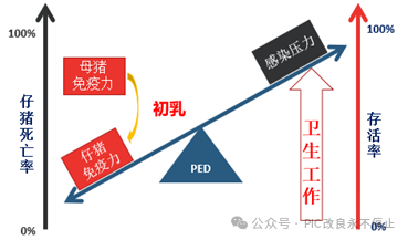 PED的控制措施