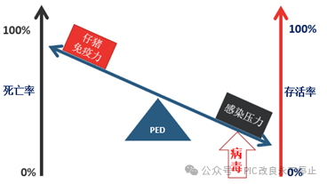 PED的控制措施