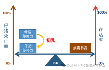PED的控制措施