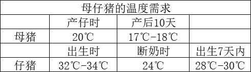 母仔猪的温度需求