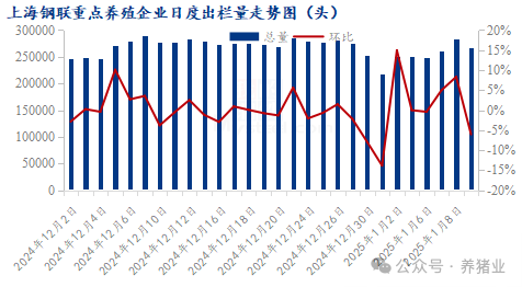 年末猪价怎么走？全面分析来了