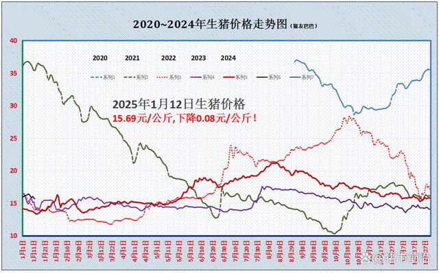 猪市利好不足，多地猪价再度飘绿！下一波上涨在何时？