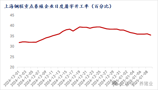 年末猪价怎么走？全面分析来了