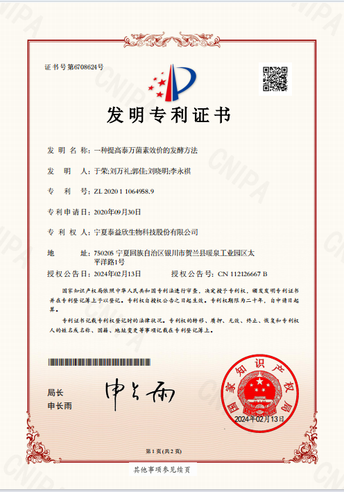 发明专利
