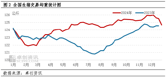 生猪行情