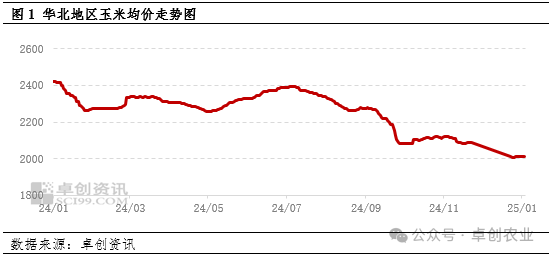 华北玉米行情