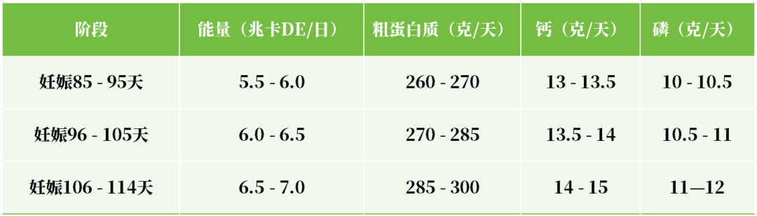 不同妊娠阶段胎儿的营养需要