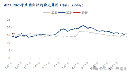 猪价涨势欠缺，春节后行情会怎么走？