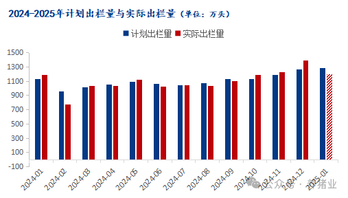 猪价涨势欠缺，春节后行情会怎么走？