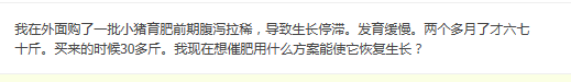 肥猪光吃不长，到底是哪里出了问题？