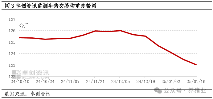 猪市供需博弈激烈，1月猪价震荡下滑！后市如何？