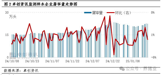 猪市供需博弈激烈，1月猪价震荡下滑！后市如何？