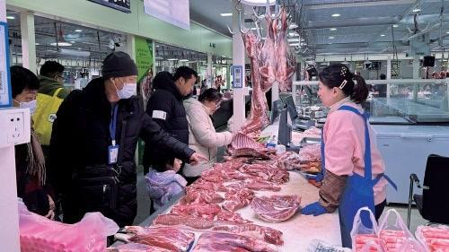 短期消费刺激，猪价小幅抬头