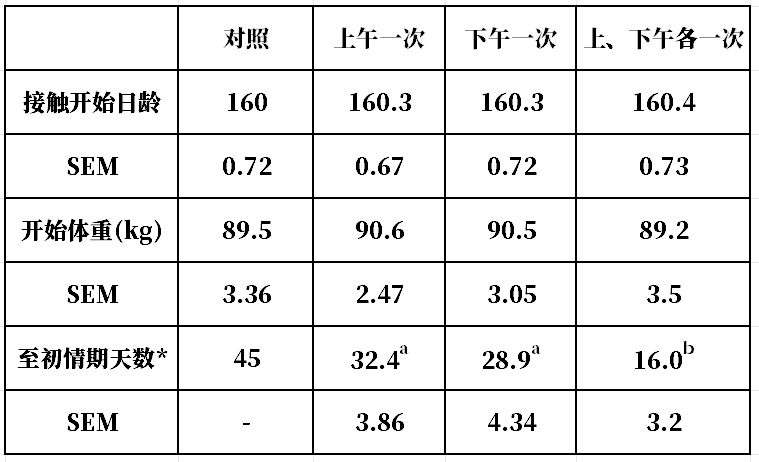 接触公猪对小母猪初情期的影响