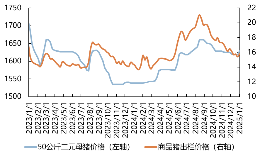 2023年以来50公斤二元母猪价格及商品猪价格